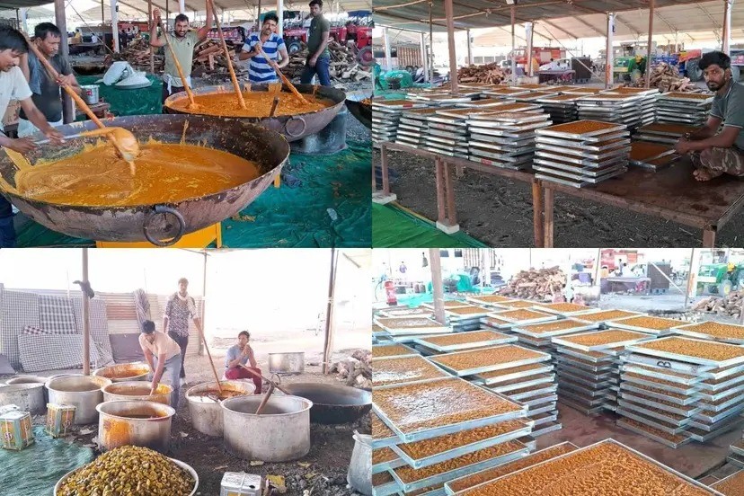 राजस्थान की अब तक की  सबसे बड़ी शादी   पांच लाख मेहमानों के लिए चार लाख किलो भोजन बन रहा   6000 लोग खाना खिलाने और 2000 है बनाने वाले   ट्रैक्टर से परोसा जा रहा है भोजन